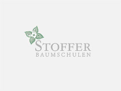 Cornus alternifolia – Etagen-Hartriegel